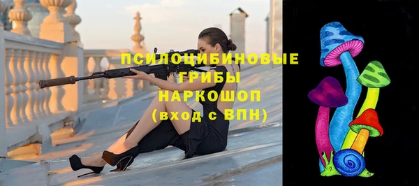 герыч Алексин
