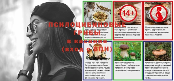 герыч Алексин