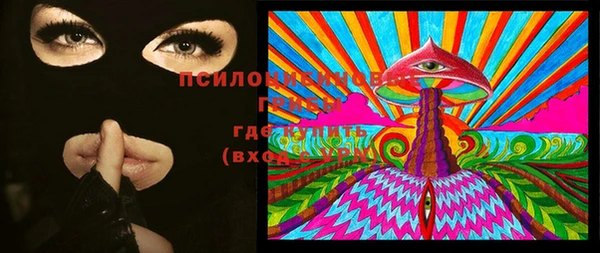 шишки Алексеевка
