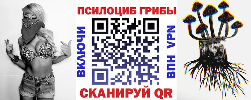 Галлюциногенные грибы ЛСД  Гвардейск 